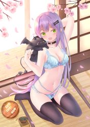 Rule 34 | 1girl, :o, arm behind head, arm up, bare arms, bat wings, bibi (tokoyami towa), black choker, black thighhighs, blue bra, blunt bangs, blush, bow, bow panties, bra, breasts, cherry blossoms, choker, cleavage, collarbone, cup, dango, demon tail, fang, fang out, food, green eyes, hair down, hair ornament, hairclip, harada haruki, heart, highres, hololive, horns, long hair, looking at viewer, mochi, multiple straps, navel, o-ring, o-ring choker, open mouth, panties, petals, plate, pointy ears, purple bow, purple hair, shouji, sitting, skindentation, sliding doors, small breasts, smile, tail, tea, teacup, thighhighs, tokoyami towa, underwear, underwear only, very long hair, virtual youtuber, wagashi, wariza, wings, wooden floor