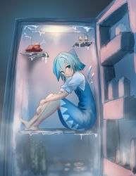 Rule 34 | 1girl, barefoot, blue bow, blue dress, blue eyes, blue hair, blush, boned meat, bottle, bow, cirno, commentary request, dress, fog, food, full body, hair between eyes, hair bow, ice, ice wings, in container, in refrigerator, knees up, looking at viewer, meat, puffy short sleeves, puffy sleeves, refrigerator, roke (taikodon), short hair, short sleeves, sitting, sketch, smile, solo, touhou, wings