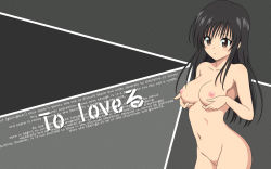 Rule 34 | 00s, 1girl, black hair, blush, breasts, cleft of venus, cowboy shot, highres, kotegawa yui, long hair, nipples, nude, nude filter, pussy, solo, tagme, third-party edit, to love-ru, uncensored
