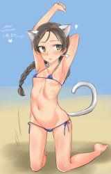 Rule 34 | animal ears, aohashi ame, armpits, bikini, blush, brave witches, breasts, brown eyes, brown hair, cat ears, cat tail, character name, freckles, groin, heart, highres, micro bikini, misumi miya, navel, side-tie bikini bottom, small breasts, solo, swimsuit, tail, twintails, world witches series