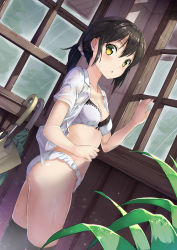 Rule 34 | 1girl, absurdres, ass, black hair, black thighhighs, blouse, blush, bra, breasts, chestnut mouth, cleavage, collarbone, collared shirt, commentary request, from side, hair between eyes, hair ornament, hair scrunchie, highres, indoors, long hair, looking at viewer, medium breasts, open clothes, open mouth, open shirt, original, panties, plant, ponytail, rain, school uniform, scrunchie, see-through, shirt, sidelocks, solo, thighhighs, umbrella, underwear, wet, wet clothes, white bra, white panties, white shirt, window, wing collar, wooden wall, yellow eyes, zelitto