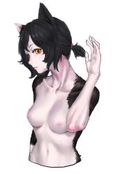 Rule 34 | 1girl, absurdres, animal ears, black fur, black hair, cat ears, cat girl, collarbone, cropped torso, dungeon meshi, hand up, head tilt, highres, izutsumi, navel, nude, parted lips, ponytail, seshengquyi, simple background, solo, white background, yellow eyes