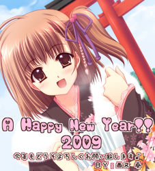 Rule 34 | 00s, 2009, blush, brown eyes, brown hair, japanese clothes, new year, nishimata aoi, original, short hair, solo