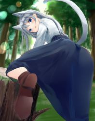 Rule 34 | 1girl, absurdres, akinakesu-chan, animal ears, ass, blue eyes, blue skirt, blurry, blurry background, brown footwear, cat ears, cat girl, cat tail, commentary request, day, depth of field, forest, grey hair, hair between eyes, highres, long hair, looking at viewer, looking back, nature, open mouth, original, outdoors, shirt, shoe soles, skirt, solo, tail, tree, tree stump, very long hair, white shirt