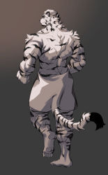 Rule 34 | 1boy, animal ears, arknights, back, bara, feet, from behind, full body, furry, furry male, gradient background, highres, leg up, looking to the side, male focus, mountain (arknights), muscular, muscular male, naked towel, scar, scar across eye, scar on face, short hair, simple background, solo, tail, tiger boy, tiger ears, tiger stripes, tiger tail, towel, walking, white fur, white hair, yeon (leyonkim)