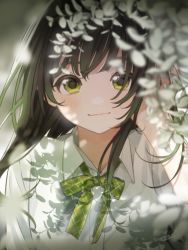Rule 34 | 1girl, black hair, blurry, blurry background, blurry foreground, blush, booota, bow, closed mouth, collared shirt, commentary request, depth of field, dress shirt, eyebrows hidden by hair, flower, green bow, green eyes, hand up, highres, long hair, looking at viewer, multicolored hair, original, plaid, plaid bow, shirt, smile, solo, streaked hair, thick eyebrows, upper body, white flower, white shirt