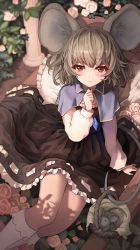 Rule 34 | 1girl, animal ear fluff, animal ears, basket, black dress, blue capelet, blurry, blurry background, blush, capelet, closed mouth, commission, dress, flower, grey hair, highres, jewelry, large ears, light smile, long sleeves, looking at viewer, medium hair, melaton, mouse (animal), mouse ears, nazrin, outdoors, pendant, pillar, pillow, red eyes, shirt, sitting, skeb commission, solo, touhou, white legwear, white shirt
