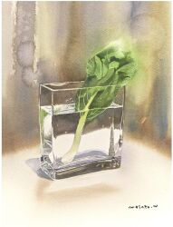 Rule 34 | bok choy, food, highres, light, no humans, object focus, original, painting (medium), plant, potted plant, realistic, shadow, still life, traditional media, tray, vegetable, watanabe masato, water, watercolor (medium)