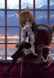 Rule 34 | animal ears, bloomers, cane, cat ears, cat tail, gloves, legs, namori, original, solo, tail, thighhighs, underwear