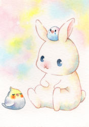 Rule 34 | :3, animal, animal focus, bird, blue eyes, rabbit, chibi, chibi on head, closed mouth, commentary request, ears up, closed eyes, friends, highres, looking at another, multicolored background, no humans, on head, original, painting (medium), simple background, sinsousui, sitting, traditional media, watercolor (medium), white background