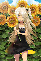 Rule 34 | 1girl, bare shoulders, black dress, blonde hair, blue sky, breasts, child, closed mouth, cloud, collarbone, commission, curled fingers, dress, flower, frills, frxe3828, hair ornament, hair over one eye, highres, holding, holding flower, leaf, legs apart, long hair, multicolored eyes, original, pink eyes, plant, purple eyes, scrunchie, side ponytail, sidelocks, skeb commission, sky, small breasts, solo, summer, sunflower, yellow eyes