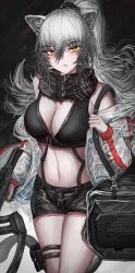Rule 34 | 1girl, absurdres, animal ears, arknights, bare shoulders, black background, black scarf, black shorts, breasts, cat ears, cat tail, cleavage, commentary request, cowboy shot, crop top, grey hair, hair between eyes, highres, large breasts, long hair, long sleeves, looking at viewer, midriff, navel, scarf, schwarz (arknights), short shorts, shorts, solo, stomach, tail, thigh strap, thighs, very long hair, vloodozer, yellow eyes