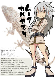 Rule 34 | 1girl, animal, belt, boots, character profile, collar, crossed arms, dress, frown, full body, gecko, grey hair, gujira, jacket, long sleeves, monster girl, personification, scales, short dress, simple background, slit pupils, solo, spiked collar, spikes, standing, tail, translation request, white background, yellow eyes