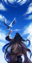 Rule 34 | 1boy, alter (silent mute), animal, arm up, back, bad id, bad pixiv id, bandaged arm, bandages, bird, black hair, blue sky, boris jinneman, cloud, day, flying, from behind, long hair, male focus, outdoors, sky, solo, tales weaver, very long hair