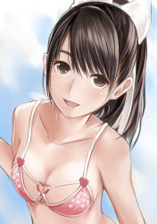 Rule 34 | 1girl, :d, anegasaki nene, animal ears, bare arms, bare shoulders, bikini, blue background, blush, body blush, breasts, brown eyes, brown hair, cat ears, cleavage, collarbone, fake animal ears, floral print, from above, hairband, heart, looking at viewer, looking up, love plus, nannacy7, open mouth, pink bikini, ponytail, short hair, simple background, smile, solo, swimsuit, takane manaka, tareme, upper body