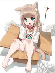 Rule 34 | 1girl, 40hara, :o, animal collar, animal ear fluff, animal ears, aqua eyes, barefoot, blonde hair, blouse, box, cardboard box, cat ears, cat girl, cat tail, clothes writing, collar, commentary request, fang, feet, highres, in box, in container, kinako (40hara), long hair, looking at viewer, open mouth, original, shirt, skin fang, solo, t-shirt, tail, white shirt