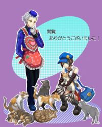 Rule 34 | apron, being7, cat, marie (persona 4), persona, persona 4, persona 4 the golden, theodore (persona)