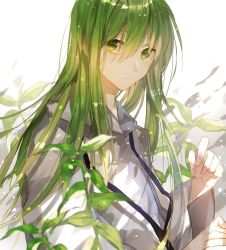 Rule 34 | 1boy, androgynous, enkidu (fate), expressionless, fate/strange fake, fate (series), green hair, hair between eyes, hands up, leaf, long hair, looking at viewer, male focus, petals, plant, shirt, solo, tsugutoku, upper body, white background, white shirt