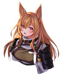 Rule 34 | 1girl, animal ears, arknights, armor, belt buckle, breasts, brown hair, buckle, ceobe (arknights), collar, commentary request, dog ears, eyes visible through hair, fang, hair between eyes, light blush, long hair, long sleeves, looking at viewer, open mouth, red eyes, shoulder armor, simple background, solo, strap, sweater, tanagawa makoto, translucent hair, upper body, white background, white sweater