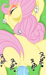 Rule 34 | 1girl, anal, anus, ass, blush, fluttershy, furry, highres, mlp zat, my little pony, my little pony: friendship is magic, open mouth, penis, sex, text focus, translation request, uncensored