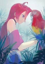 Rule 34 | 1girl, baicha oqqa, bird, black choker, blurry, blurry foreground, choker, closed mouth, eyelashes, from below, from side, indoors, long hair, macaw, parrot, precure, purple eyes, red hair, scarlet macaw, smile, solo, standing, takizawa asuka, tropical-rouge! precure, very long hair