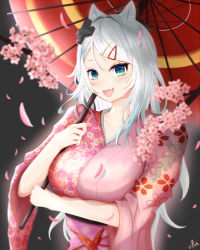 Rule 34 | 1girl, absurdres, alternate costume, animal ears, black background, blue eyes, blue hair, branch, breasts, cherry blossoms, colored tips, fang, flower, fox ears, fox girl, hair ornament, hairclip, highres, holding, holding umbrella, indie virtual youtuber, japanese clothes, kimono, large breasts, long hair, mizuki (vtuber), multicolored hair, obi, omaigoodgoodeat, open mouth, pink flower, pink kimono, sash, skin fang, smile, solo, umbrella, virtual youtuber, white hair
