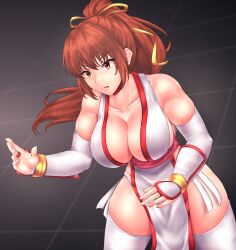 Rule 34 | 1girl, absurdres, breasts, dead or alive, highres, kasumi (doa), large breasts, long hair, ponytail, solo