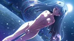 Rule 34 | 1girl, black hair, blush, breasts, breasts squeezed together, brown eyes, covering crotch, covering privates, dutch angle, field, flower, flower field, full moon, game cg, glowing, long hair, minori (company), moon, natsuzora no perseus, navel, night, nipples, nude, outdoors, petals, red eyes, shouna mitsuishi, smile, solo, tohno ren, yuzuna hiyo