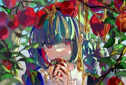 Rule 34 | 1girl, apple, black nails, blue hair, blurry, blurry background, blurry foreground, bow, braid, branch, closed mouth, commentary request, copyright request, eyebrows hidden by hair, eyelashes, food, fruit, green pupils, hair between eyes, hair bow, hair over eyes, hands up, holding, holding food, holding fruit, leaf, light blush, liquid, long hair, looking at viewer, lunar (lunar 815), nail polish, outdoors, portrait, quad braids, red apple, red bow, red eyes, sidelocks, smile, solo