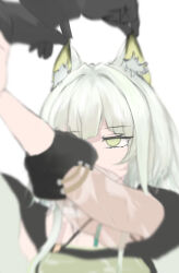 Rule 34 | 1girl, 1other, animal ear fluff, animal ears, arknights, black gloves, doctor (arknights), dress, gloves, grabbing another&#039;s ear, green dress, green eyes, grey hair, hand on another&#039;s ear, highres, jacket, kal&#039;tsit (arknights), long sleeves, mebe (teadia violet), out of frame, puffy long sleeves, puffy sleeves, see-through, simple background, solo focus, upper body, white background
