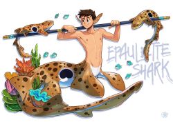 Rule 34 | 1boy, animal, artist name, black skin, body markings, brown hair, carpet shark, clam, colored skin, commentary, completely nude, coral, dorsal fin, english commentary, english text, fins, fish, full body, gills, hands up, head fins, highres, holding, holding staff, looking at animal, male focus, merman, mondoart, monster boy, multicolored skin, nude, original, seaweed, shark, shark boy, short hair, simple background, sitting, solo, staff, very short hair, watermark, white background, white skin