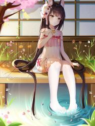 Rule 34 | 1136002526, 1girl, animal ear fluff, animal ears, azur lane, bad id, bad pixiv id, black hair, blunt bangs, cherry blossoms, chinese commentary, collarbone, commentary request, day, falling petals, flat chest, fox ears, fox mask, highres, hime cut, jewelry, lingerie, long hair, mask, mask on head, nagato (azur lane), nagato (great fox&#039;s respite) (azur lane), navel, necklace, negligee, outdoors, petals, pond, porch, see-through, shouji, sitting, sliding doors, solo, stomach, straight hair, strap slip, thighhighs, underwear, very long hair, water, white thighhighs, wooden floor, yellow eyes