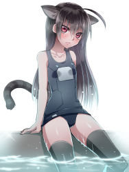 Rule 34 | 1girl, animal ears, black hair, cat ears, emappo, long hair, name tag, one-piece swimsuit, phantasy star, phantasy star online 2, red eyes, school swimsuit, swimsuit, tail, thighhighs