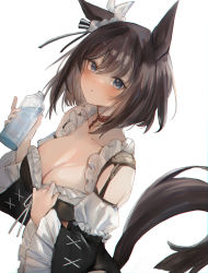 Rule 34 | 1girl, absurdres, animal ears, black dress, blue eyes, blush, bottle, breasts, brown choker, brown hair, choker, cleavage, commentary, dress, dutch angle, eishin flash (umamusume), frills, highres, holding, holding bottle, horse ears, horse girl, horse tail, large breasts, looking at viewer, medium hair, parted lips, ryuuji teitoku, simple background, solo, sweat, tail, umamusume, water bottle, white background