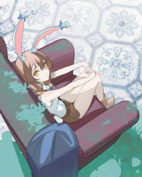 Rule 34 | 1girl, animal ear fluff, animal ears, blue bow, bow, brown shorts, chair, commentary, ear bow, english commentary, floor, from above, gift art, hair between eyes, highres, interlocked fingers, looking at viewer, milim nova, original, parted lips, rabbit ears, shirt, shorts, sitting, sleeveless, sleeveless shirt, solo, stretching, white shirt, yellow eyes