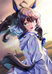 Rule 34 | 1girl, ahoge, animal ears, blurry, blurry background, blush, commentary request, daring tact (umamusume), green eyes, hair ornament, highres, horse ears, horse girl, horse tail, jacket, leaf, lens flare, long hair, looking at viewer, portrait, sinosinof, sky, solo, sparkle, sweat, tail, twitter username, umamusume