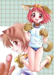 Rule 34 | 2girls, animal ears, bell, bow, breasts, brown eyes, brown hair, buruma, child, collar, dog ears, dog tail, ebifly, kamigishi akari, multiple girls, nagaoka shiho, neck bell, red eyes, red hair, small breasts, smile, tail, to heart, to heart (series), yellow bow