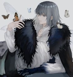 Rule 34 | 1boy, alternate hair color, arthropod boy, blue butterfly, blue eyes, bug, butterfly, butterfly on hand, cape, claws, closed mouth, collar, collared shirt, crown, diamond hairband, expressionless, fate/grand order, fate (series), feather boa, frilled collar, frills, fur collar, fur trim, grey background, grey butterfly, grey hair, highres, insect, insect wings, long sleeves, male focus, medium hair, oberon (fate), oberon (third ascension) (fate), orange butterfly, ringo 2000, shirt, simple background, solo, upper body, white shirt, wings