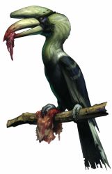 Rule 34 | absurdres, bird, capcom, eating, flesh, full body, great indian hornbill, highres, no humans, resident evil, resident evil outbreak, resident evil outbreak: file #2, simple background, solo