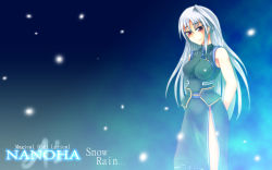 Rule 34 | 1girl, alternate costume, arms behind back, blush, frey, highres, long hair, lyrical nanoha, mahou shoujo lyrical nanoha, mahou shoujo lyrical nanoha a&#039;s, red eyes, reinforce, silver hair, sleeveless, smile, snow, solo, standing, very long hair