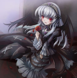 Rule 34 | 00s, 1girl, female focus, flower, hairband, mtyy, petals, red eyes, rose, rozen maiden, silver hair, smile, solo, suigintou, wings