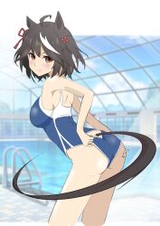 Rule 34 | 1girl, absurdres, adjusting clothes, adjusting swimsuit, ahoge, alternate costume, alternate eye color, animal ears, ass, bare shoulders, black hair, blue one-piece swimsuit, blurry, blurry background, blush, brown eyes, closed mouth, commentary request, competition school swimsuit, competition swimsuit, double-parted bangs, ear ornament, hair between eyes, hair ornament, hands on own ass, highres, horse ears, horse girl, horse tail, indoors, kitasan black (umamusume), looking at viewer, looking back, multicolored hair, one-piece swimsuit, pool, sanche (3che3), school swimsuit, skylight, smile, solo, streaked hair, swimsuit, tail, two-tone hair, two side up, umamusume, v-shaped eyebrows, white hair, window