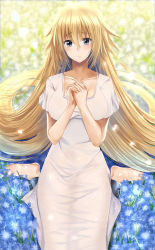 Rule 34 | 1girl, :o, ankle cuffs, barefoot, blonde hair, blue eyes, blush, cuffs, dress, fate/apocrypha, fate/grand order, fate (series), field, flower, flower field, hair between eyes, highres, jeanne d&#039;arc (fate), jeanne d&#039;arc (ruler) (fate), kneeling, long dress, long hair, looking at viewer, nemophila (flower), nicky w, own hands clasped, own hands together, sad, see-through, shackles, sitting, solo, very long hair, white dress