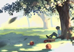 Rule 34 | 1boy, apple, bag, bloom, brown footwear, brown hair, commentary request, dappled sunlight, day, food, fruit, grass, grey pants, highres, knees up, on grass, original, outdoors, pants, paper bag, scenery, shade, shirt, shoes, short hair, short sleeves, sitting, socks, solo, sunlight, taizo (taizo 03), tree, tree shade, white shirt, white socks, wide shot