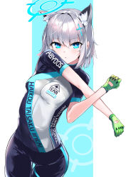 Rule 34 | 1girl, absurdres, animal ear fluff, animal ears, black pants, black shirt, blue archive, blue background, blue eyes, breasts, clothes writing, commentary request, gloves, green gloves, grey hair, hair between eyes, hair ornament, halo, highres, kie (yospcd), looking at viewer, pants, parted lips, shiroko (blue archive), shiroko (cycling) (blue archive), shirt, short sleeves, small breasts, solo, stretching, thigh gap, two-tone background, white background
