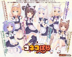 Rule 34 | 6+girls, :d, aged down, animal ear fluff, animal ear legwear, animal ears, april fools, apron, arm up, azuki (nekopara), bell, black legwear, blonde hair, blue eyes, blue footwear, bow, bowtie, brown eyes, brown footwear, brown hair, cat ear legwear, cat ears, cat girl, cat tail, check translation, chestnut mouth, child, chocola (nekopara), cinnamon (nekopara), cleavage cutout, clothing cutout, coconut (nekopara), commentary request, double v, fangs, fishnet legwear, fishnets, flat chest, frilled apron, frills, full body, green eyes, hair between eyes, hand on own hip, heterochromia, highres, index finger raised, interlocked fingers, jingle bell, logo, long hair, looking at viewer, low twintails, maid, maid headdress, maple (nekopara), multiple girls, name tag, nekopara, official art, open mouth, orange footwear, own hands together, pantyhose, paw pose, polka dot, polka dot background, puffy short sleeves, puffy sleeves, purple footwear, purple hair, red footwear, ribbon-trimmed clothes, ribbon trim, sayori (neko works), shoes, short hair, short sleeves, simple background, slit pupils, smile, striped tail, tail, thighhighs, translation request, twintails, two side up, uniform, v, vanilla (nekopara), waist apron, white hair, white legwear, wrist cuffs, yellow eyes