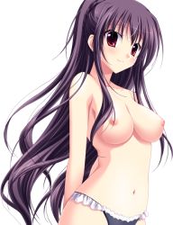 Rule 34 | 00s, 1girl, atelier kaguya, bare legs, bare shoulders, black panties, braid, breasts, choco chip, cleavage, closed mouth, collarbone, dutch angle, eyelashes, feet out of frame, female focus, frilled panties, frills, game cg, hair between eyes, large breasts, lingerie, lips, long hair, looking at viewer, navel, nipples, no bra, open clothes, panties, panties only, prima stella, purple hair, red eyes, shade, simple background, smile, solo, solo focus, standing, stomach, tachi-e, takasu miyabi, thighs, topless, transparent background, underwear, underwear only, upper body, very long hair