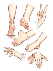 Rule 34 | absurdres, anatomy, art study, cielvolt, detailed knuckles, disembodied limb, feet, foot focus, hand focus, highres, multiple views, original, plantar flexion, puffy short sleeves, puffy sleeves, short sleeves, tiptoes, toenails, toes, v, white background