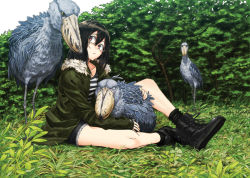 Rule 34 | 1girl, bird, black hair, boots, forest, glasses, jacket, kahadu (kawazu), nature, original, shirt, short shorts, shorts, sitting, striped clothes, striped shirt