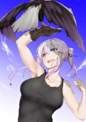 Rule 34 | 1girl, :d, alternate costume, animal, arm up, armpits, azur lane, bald eagle, bird, black ribbon, blue sky, breasts, brown gloves, cloud, collarbone, day, eagle, enterprise (azur lane), falconry, gloves, hair ribbon, highres, large breasts, long hair, looking up, open mouth, outdoors, pirapirapirapira, ponytail, ribbon, sidelocks, silver hair, sky, sleeveless, smile, solo, talons, tank top, teeth, upper body, upper teeth only
